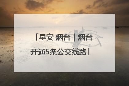 早安 烟台｜烟台开通5条公交线路