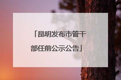 昆明发布市管干部任前公示公告