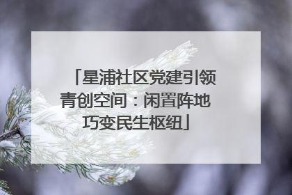 星浦社区党建引领青创空间：闲置阵地巧变民生枢纽
