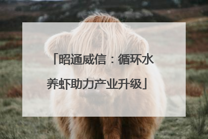 昭通威信：循环水养虾助力产业升级