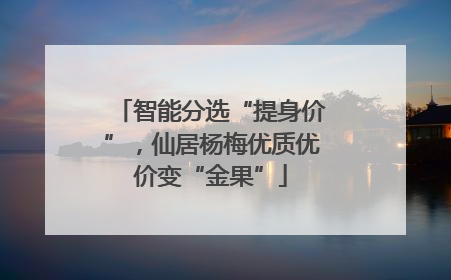 智能分选“提身价”，仙居杨梅优质优价变“金果”