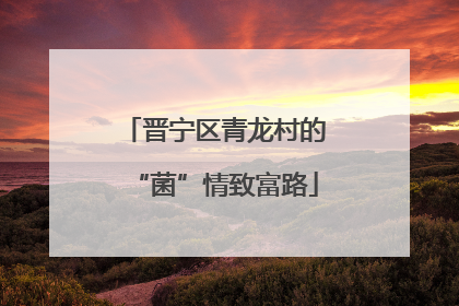 晋宁区青龙村的“菌”情致富路