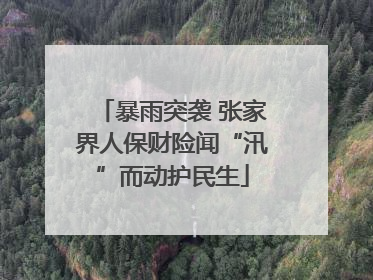 暴雨突袭 张家界人保财险闻“汛”而动护民生