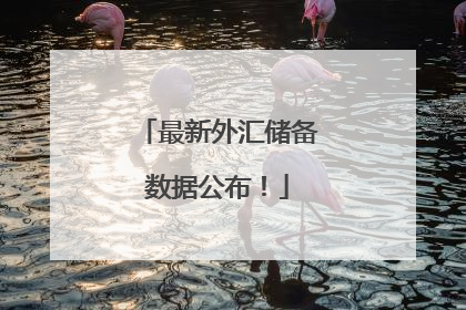 最新外汇储备数据公布！