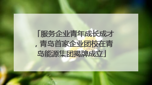 服务企业青年成长成才，青岛首家企业团校在青岛能源集团揭牌成立