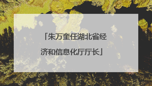 朱万奎任湖北省经济和信息化厅厅长