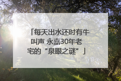 每天出水还时有牛叫声 永嘉30年老宅的“泉眼之谜”