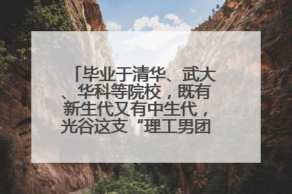 毕业于清华、武大、华科等院校，既有新生代又有中生代，光谷这支“理工男团”为何“出道”？