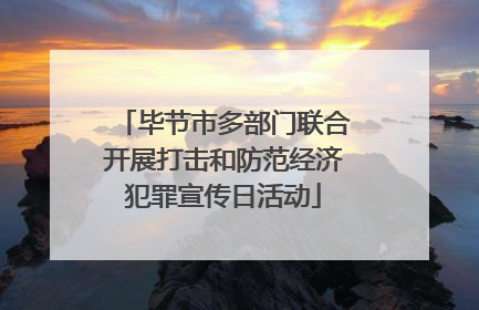 毕节市多部门联合开展打击和防范经济犯罪宣传日活动