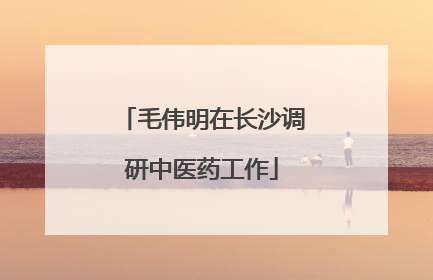 毛伟明在长沙调研中医药工作