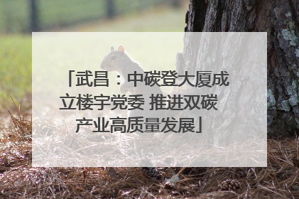 武昌：中碳登大厦成立楼宇党委 推进双碳产业高质量发展