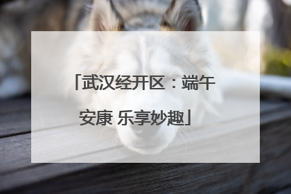 武汉经开区：端午安康 乐享妙趣