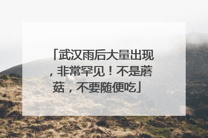 武汉雨后大量出现，非常罕见！不是蘑菇，不要随便吃