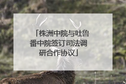 株洲中院与吐鲁番中院签订司法调研合作协议