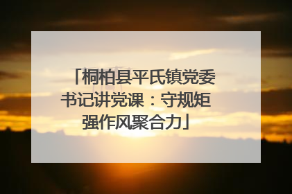 桐柏县平氏镇党委书记讲党课：守规矩强作风聚合力