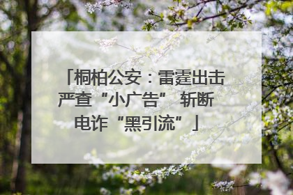 桐柏公安:雷霆出击严查“小广告” 斩断电诈“黑引流”