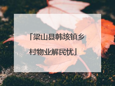 梁山县韩垓镇乡村物业解民忧