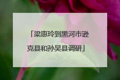 梁惠玲到黑河市逊克县和孙吴县调研