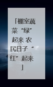 棚室蔬菜“绿”起来 农民日子“红”起来