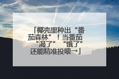 椰壳里种出“番茄森林”！当番茄“渴了”“饿了”还能精准投喂→