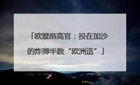 欧盟前高官：投在加沙的炸弹半数“欧洲造”