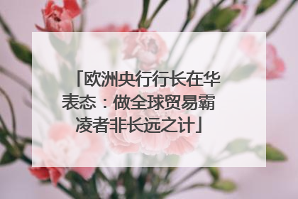 欧洲央行行长在华表态：做全球贸易霸凌者非长远之计