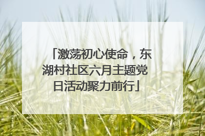 激荡初心使命，东湖村社区六月主题党日活动聚力前行