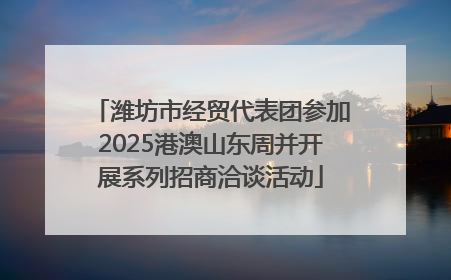 潍坊市经贸代表团参加2025港澳山东周并开展系列招商洽谈活动