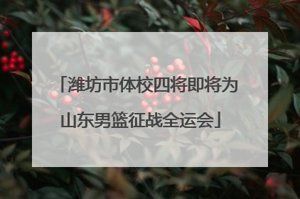 潍坊市体校四将即将为山东男篮征战全运会