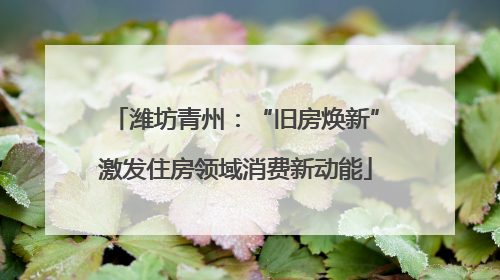 潍坊青州：“旧房焕新”激发住房领域消费新动能