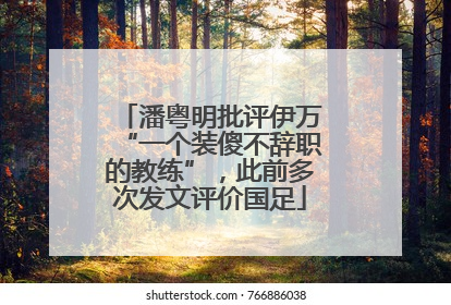 潘粤明批评伊万“一个装傻不辞职的教练”，此前多次发文评价国足