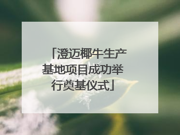 澄迈椰牛生产基地项目成功举行奠基仪式
