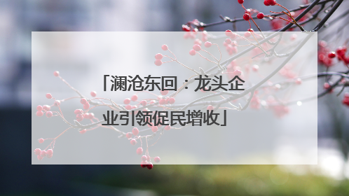 澜沧东回：龙头企业引领促民增收