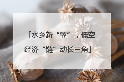 水乡新“翼”，低空经济“链”动长三角