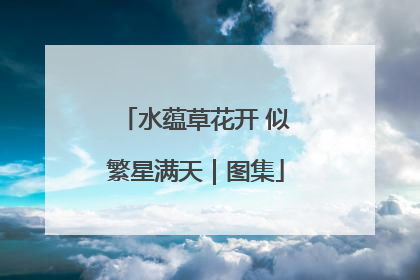 水蕴草花开 似繁星满天｜图集