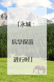永城：抗旱保苗进行时