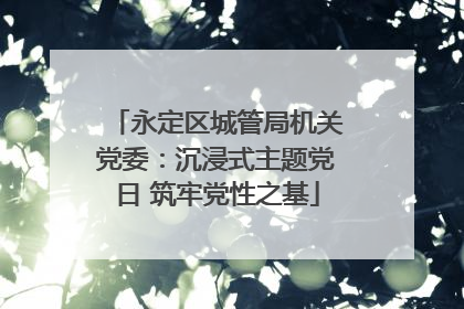永定区城管局机关党委：沉浸式主题党日 筑牢党性之基