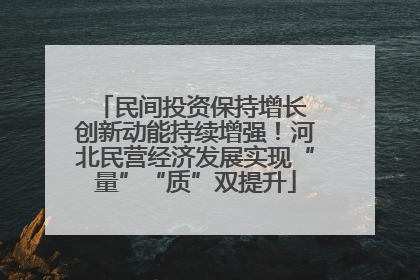 民间投资保持增长 创新动能持续增强！河北民营经济发展实现“量”“质”双提升