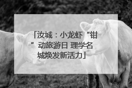 汝城：小龙虾“钳”动旅游日 理学名城焕发新活力