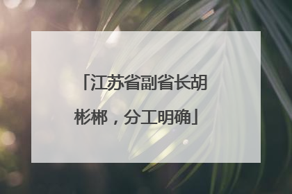 江苏省副省长胡彬郴，分工明确