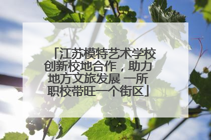 江苏模特艺术学校创新校地合作，助力地方文旅发展 一所职校带旺一个街区