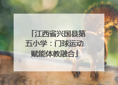 江西省兴国县第五小学：门球运动赋能体教融合