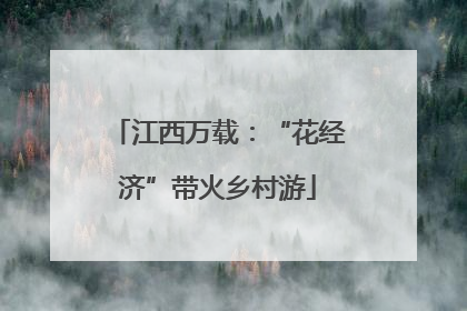 江西万载：“花经济”带火乡村游