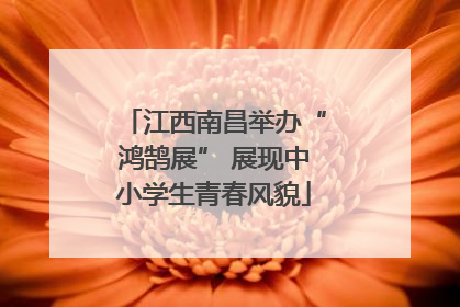 江西南昌举办“鸿鹄展” 展现中小学生青春风貌
