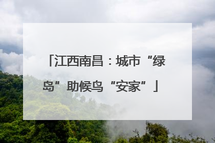 江西南昌：城市“绿岛”助候鸟“安家”
