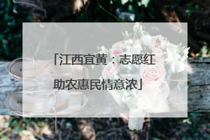 江西宜黄：志愿红助农惠民情意浓