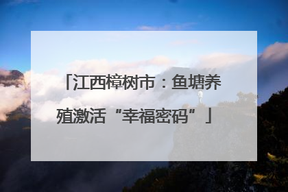 江西樟树市：鱼塘养殖激活“幸福密码”