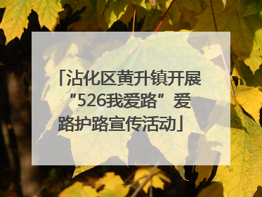 沾化区黄升镇开展“526我爱路”爱路护路宣传活动