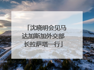 沈晓明会见马达加斯加外交部长拉萨塔一行
