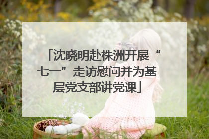 沈晓明赴株洲开展“七一”走访慰问并为基层党支部讲党课